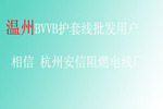 溫州BVVB護(hù)套線批發(fā)用戶 相信 杭州安信阻燃電線廠